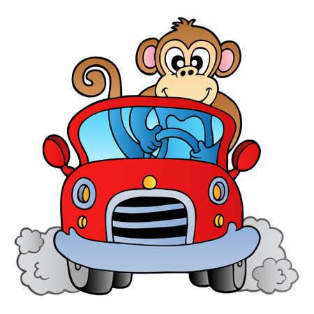 Monkey in carのイラスト素材