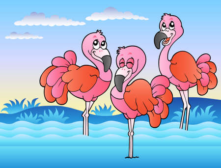 Three flamingos standing in water - illustration.のイラスト素材