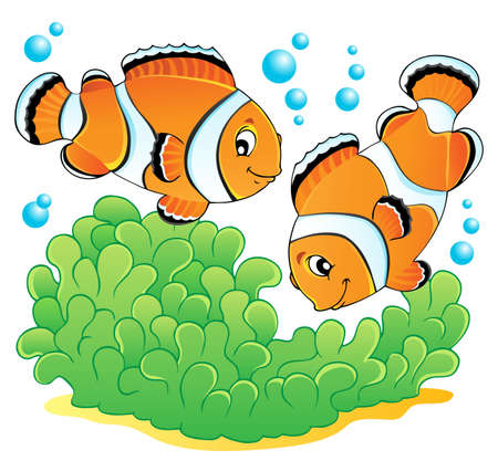 Clown fish theme image 1  illustration のイラスト素材