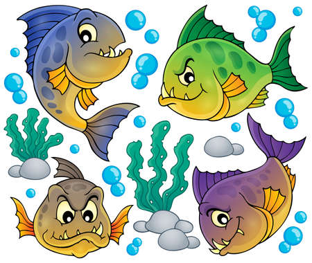 Piranha fishes collectionのイラスト素材