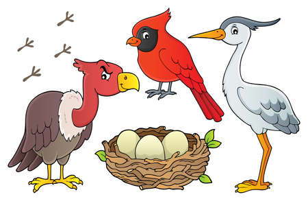 Birds topic collection 1 - eps10 vector illustration.のイラスト素材