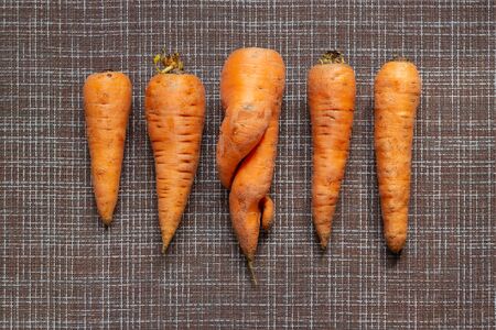 One ugly twisted carrot among normal vegetables on a brown background, zero food waste concept, top view, copy spaceの写真素材