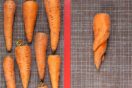 Top view of one ugly twisted carrot and normal vegetables on brown background, zero food waste conceptの写真素材