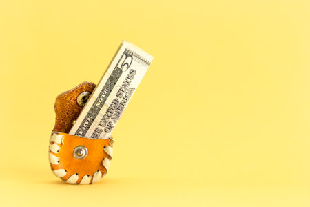 Five dollar bill in cute wallet on yellow, overflowing piggy bank, concept of little money or...