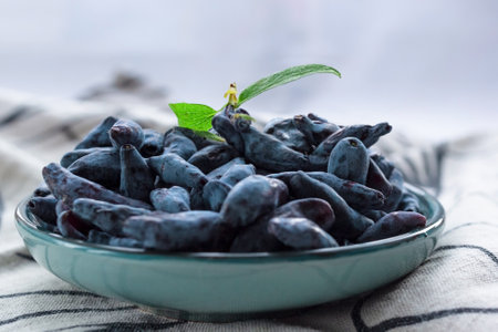Closeup fresh blue honeysuckle or haskap berry on plate on fabric napkin, summer fruit dessert, natural organic healthy concept eco food, environmentally friendly sustainability, low angle shootingの写真素材