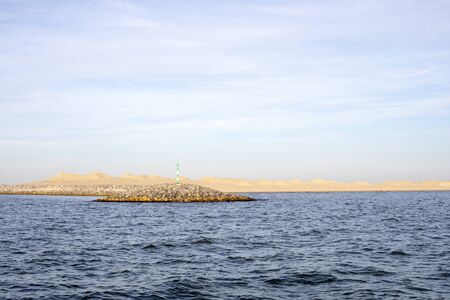 Dunes at the Marker Wadden, the manmade Dutch archipelago where wild birds reign supreme.の写真素材