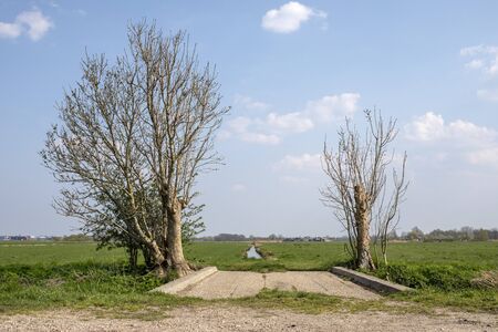 Bridge, access made from concrete tiles to a green meadow between two old trees in an agricultural landscape in Holland and a faraway straight horizon..の写真素材