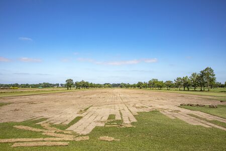 Large field with roll on lawns, cut off grass companyの写真素材