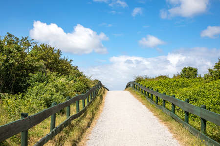 Beach transition on Schiermonnikoog, green fences to the horizon, gravel path across the dunes to the beach at schiermonnikoog island of the netherlandsの写真素材