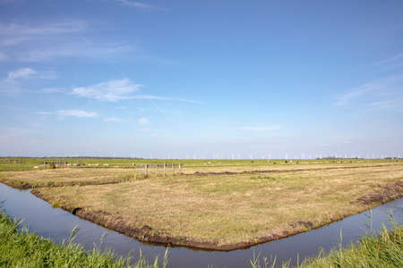 The bank of a creek, typical landscape of Holland, turbines, sheep, flat land and water and on the horizon a blue sky with white clouds.の写真素材