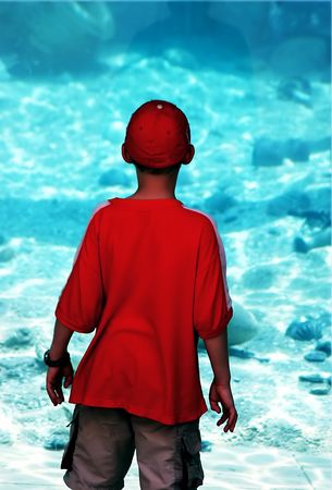Boy in the aquariumの写真素材