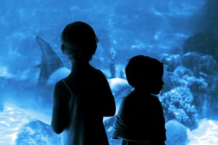 Children in the aquariumの写真素材
