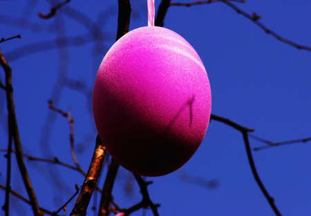 Easter Eggの写真素材