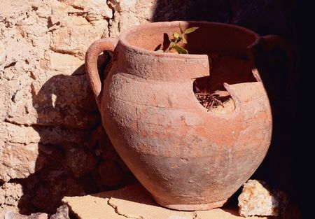 Broken Pot with Plantの写真素材
