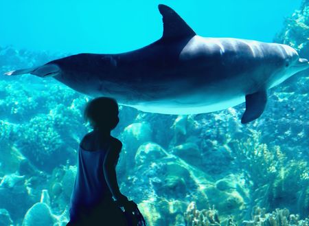 The fairy tale of a child and a dolphinの写真素材