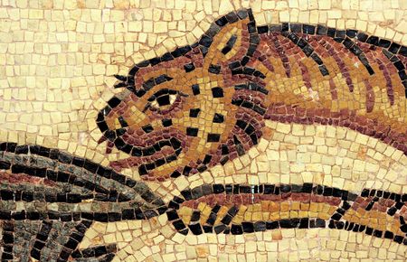 The pantherの写真素材