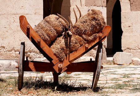 Vintage coachの写真素材