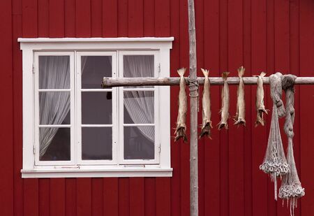 Norwegian house, stockfishes and  fishing netsの写真素材
