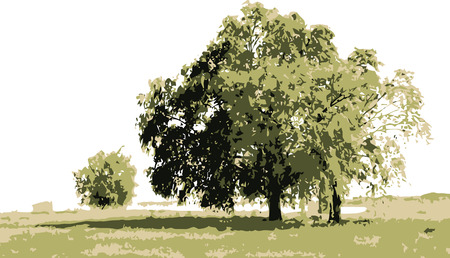 vector - tree landscape, isolated on whiteのイラスト素材