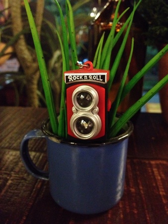 Cute toy paparazzi camera.
