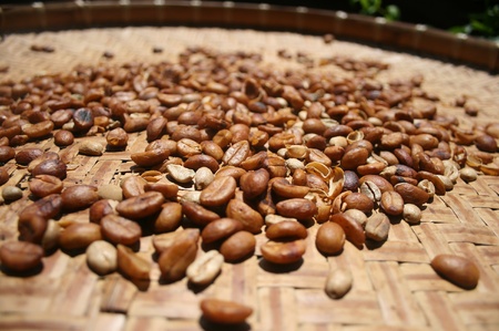 Coffee bean の素材