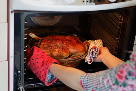 Woman taking out crispy roasted duck in a roasting pan in an ovenの写真素材
