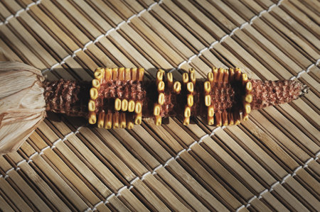 GMO Corn Cob with golden seed on wooden background food conceptの写真素材