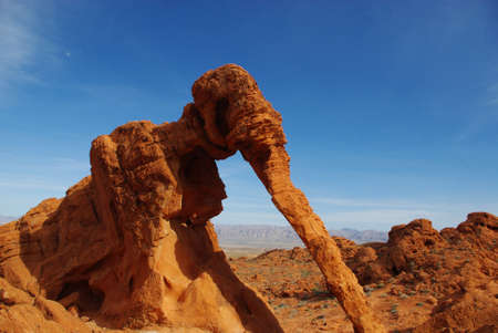 Elephant Rock, Valley of Fire, Nevadaの写真素材