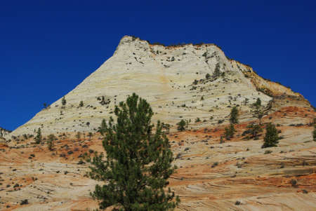 Trees, coloured mountain and deep blue sky, Zion National Park, Utahの写真素材