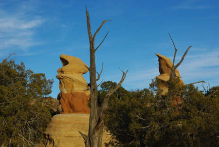 Rock, sandstone, desert, colored, dry, barren, orange, red, brown, green, white, cloud, tourist attraction, Capitol Reef, National Park, Utah, Moab, Southwest, United States, America,の写真素材