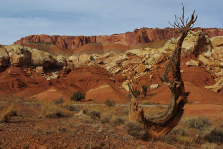 Capitol Reef, Utah