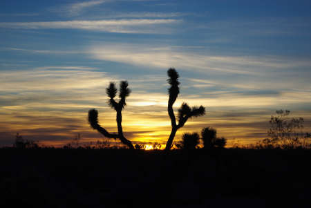 Sunrise in Nevadaの写真素材