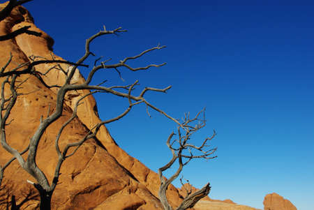 Colours of Arches National Park, Utahの写真素材