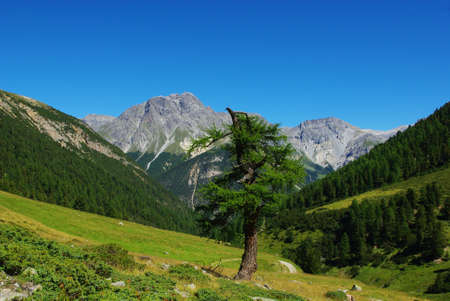 Swiss mountain sceneryの写真素材