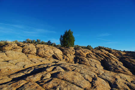 High desert impression, Utahの写真素材