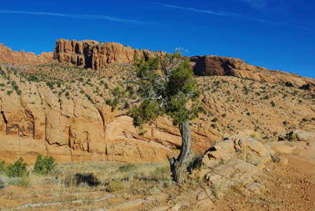 Scenery near Kayenta, Arizonaの写真素材