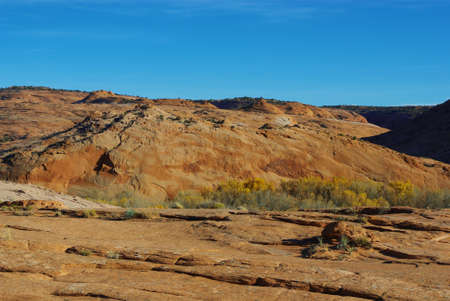 Autumn foliage  fire  in valley near Harris Wash, Utahの写真素材