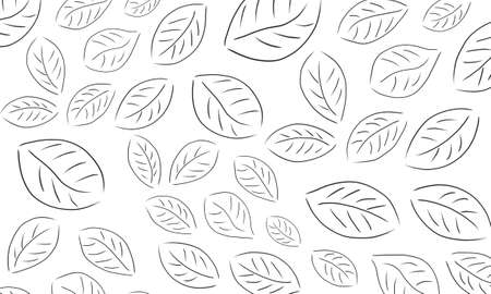 Sketch outline many different leaves.  on a white backgroundの写真素材