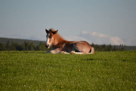 Enjoying the viewsの写真素材