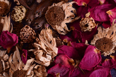 Flower heads and dried petals