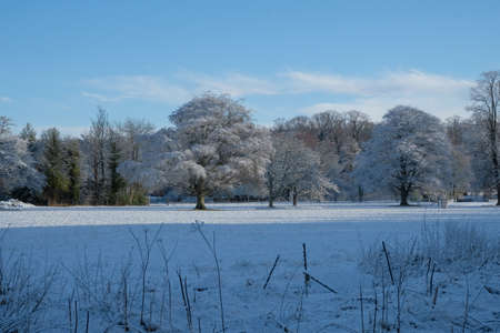Winter snowの写真素材