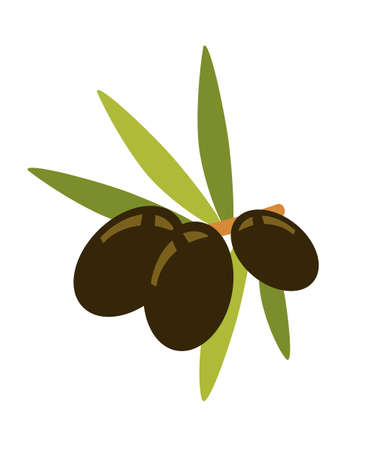 Olives on branch flat vector illustrationのイラスト素材