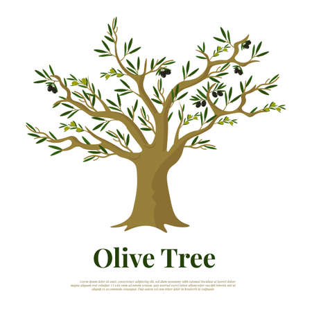 Olive tree flat vector banner templateのイラスト素材
