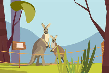 Cute kangaroo in zoo flat vector illustrationのイラスト素材