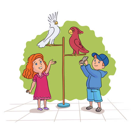 Preschooler boy and girl looking at tropical sweet cockatoo parrots bird on perch. Contact zoo visit. Fun and entertainment. Cartoon children characters having playful time. Vector flat illustrationのイラスト素材