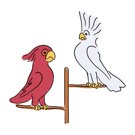 Two cute exotic cockatoo parrots sitting on perch branch. Tropical wildlife feather parrots. Kids zoo characters. Wild animal birds isolated on white. Vivid nature. Vector flat illustrationのイラスト素材