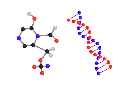 Chemical molecules and bonds, dna chain on whiteのイラスト素材