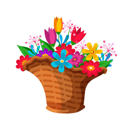 Blooming spring colorful flower bouquet composition in wicker basket for sale. Floristic shop. Handmade blossom buds isolated on white. Botanical gift or present. Beautiful floral vector illustrationのイラスト素材