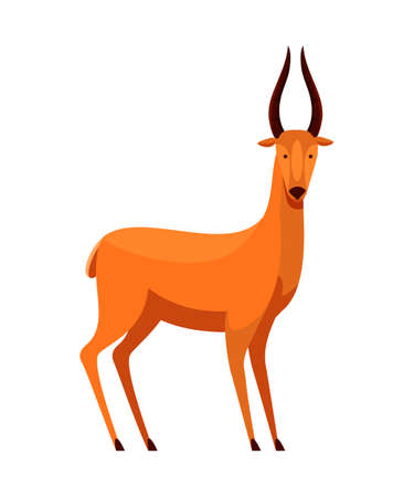 Cartoon roe deer with horns and scared muzzle. Adult wild forest prairie animal character isolated on white. Wildlife and zoology. Zoo creature. Trial hunt character. Vector flat illustrationのイラスト素材