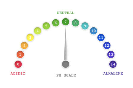 Ph value scale chart for acid, alkaline solution, test meter with round rainbow indicatorのイラスト素材